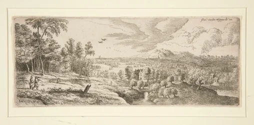 Woods Overlooking a River