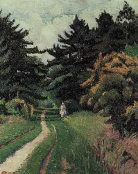 The Pinewood at Chipperfield Common