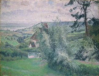 Willows, Fishpond, Dorset