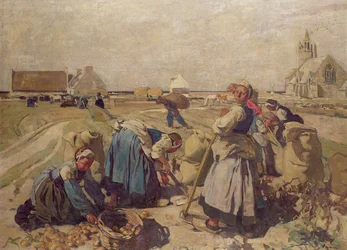 Unknown Image