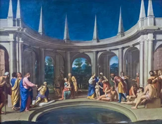 The Probatic Pool