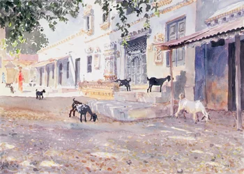 Indian Goats