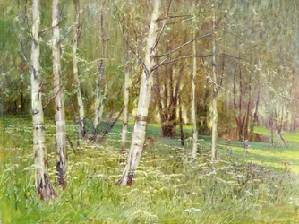 A Wooded Landscape