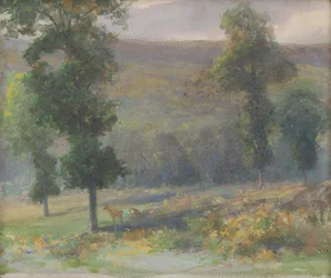 Deer in Forest