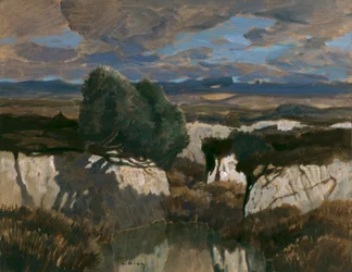In the White Moor