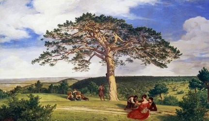 Big Pine in Bruhl Valley Near Moding