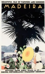 Beautiful Isle of Flowers and Sunshine MADEIRA