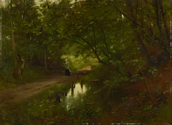 Forest Interior