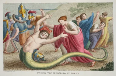 Cadmus into a Serpent or Cadmo Transformato in Serpe, Book IV, illustration from Ovid