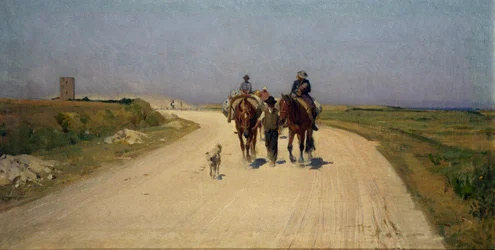 Sunny road
