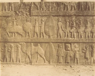 Persepolis