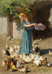 Feeding the Chickens