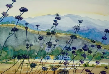 Lavender Mountain View