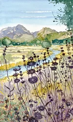 Mountain River Wildflowers
