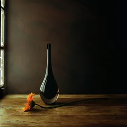 Elegant Vase Gerbera Still Life