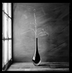 Minimalist Branch Vase