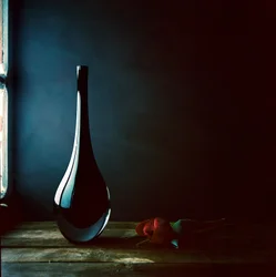 Sleek Vase Red Rose