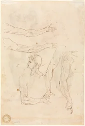 Sketches of Five Arms and a Head Verso, mid 1500s