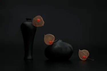 Chinese Lanterns and Black Vases