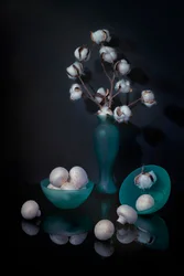 Cotton and Mushroom Still Life