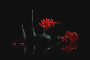 Crimson Blooms and Black Vases