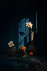 Daffodils, Citrus and Shadows