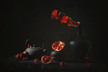 Dark Pomegranate Still Life