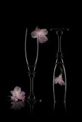 Delicate Floral Elegance