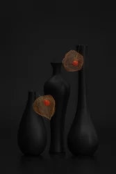 Elegant Black Physalis Still Life