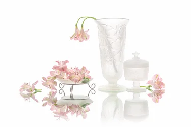 Elegant Pink Flowers Reflection