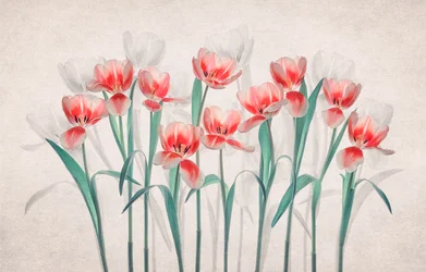 Ethereal Pink Tulips