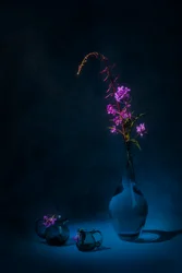 Moody Fireweed Still Life