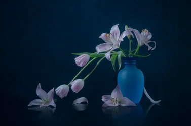 Moody Lilies and Tulips