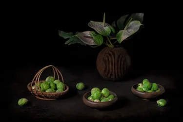 Moody Sprouts Still Life
