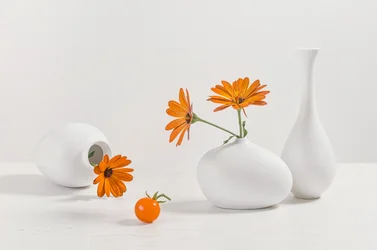 Orange Flowers Modern Still Life