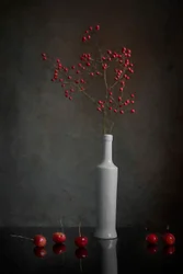 Red Berry Still Life