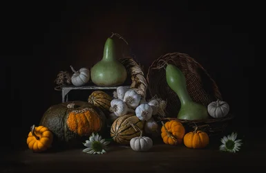 Rustic Autumn Harvest
