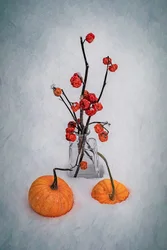 Snowy Harvest Still Life