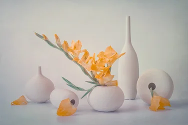 Yellow Blooms White Vases