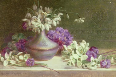 Snowdrops & Violets