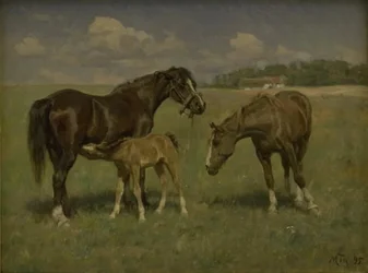 Three Horses in a Field