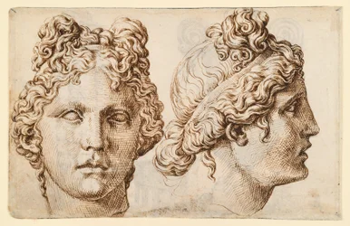 Two Views of an Antique Head