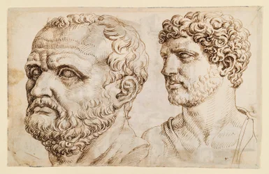 Two Heads of Antique Statues