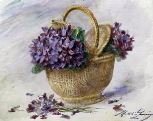 A Basket of Violets