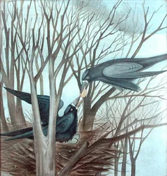 Two Rooks Feeding in a Tree