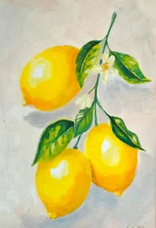 Bright Lemon Still Life