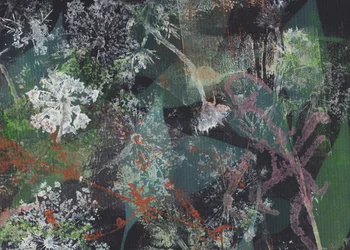 Abstract Green Dandelions