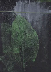 Abstract Green Leaf