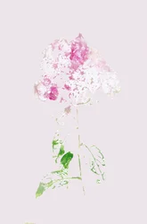 Abstract Pink Bloom
