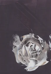 Dark Abstract Rose